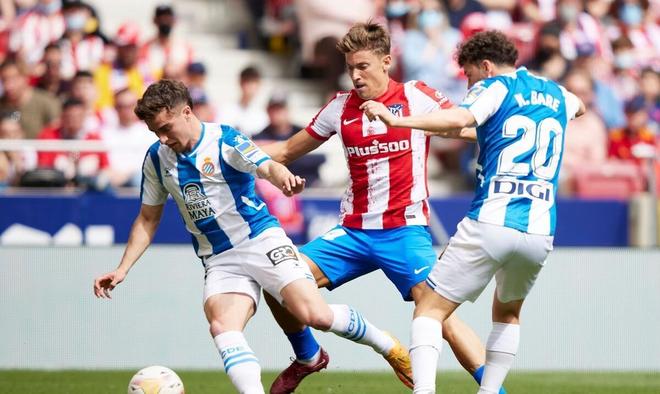 将被寄予厚 将被寄予厚