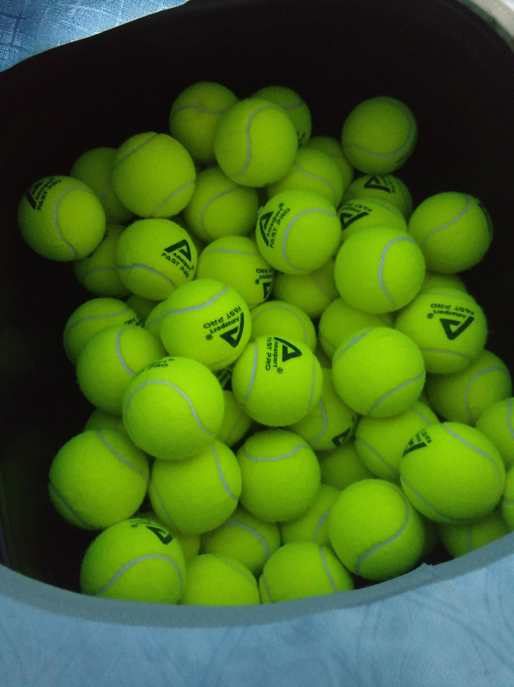 篮下保护和 篮下保护和